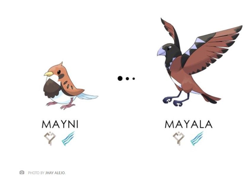 twee door fans gemaakte vogel Pokemon gemaakt door kunstenaar Jhay Alejo