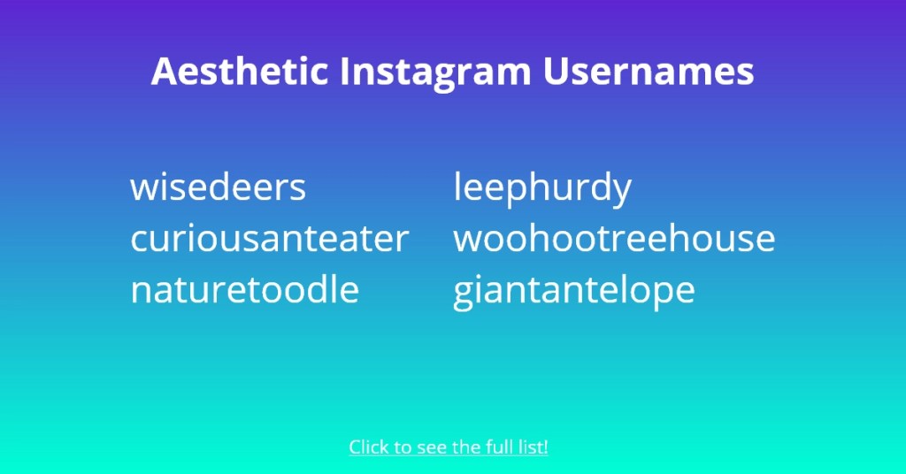Esthetische Instagram-gebruikersnamen
