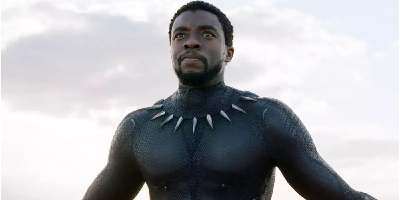 T'Challa als Black Panther, Black Panther