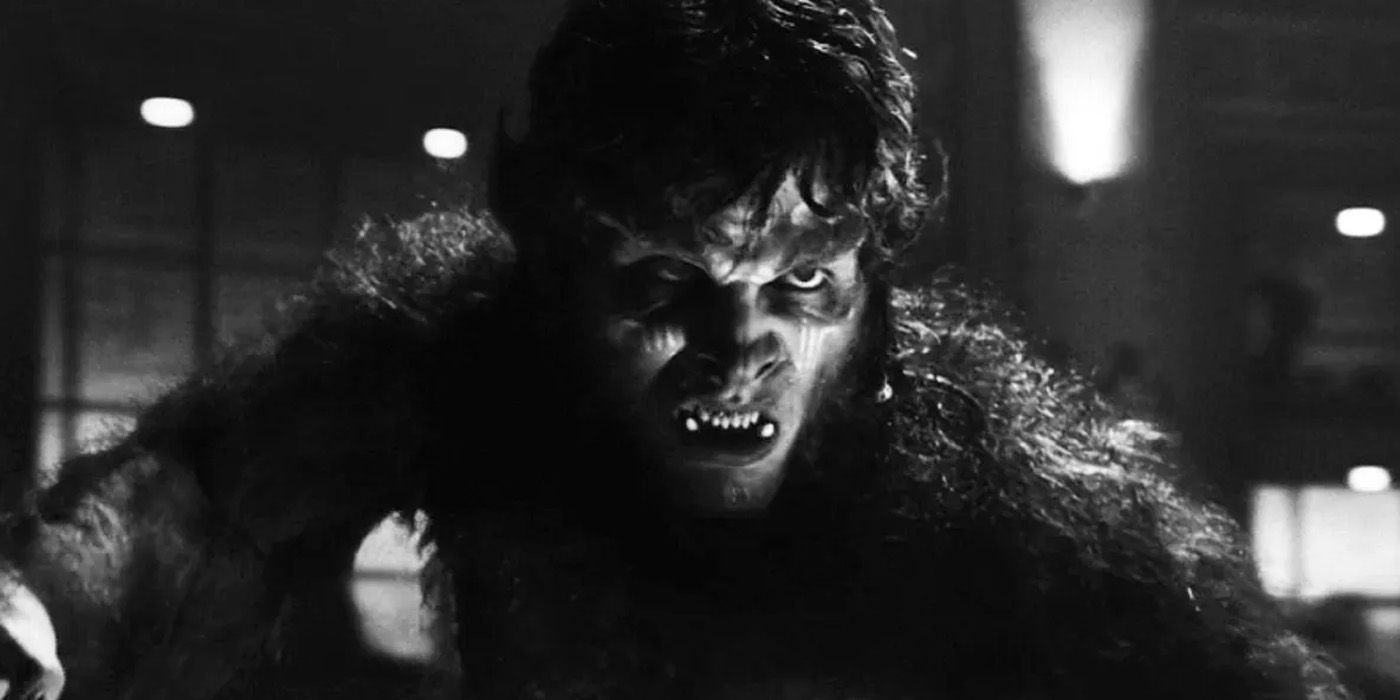 Weerwolf bij nacht Jack Russell