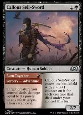 Afbeelding van een soldaat die door de woestenij van de strijd loopt door MTG Callous Sell-Sword Adventure in Wilds of Eldraine
